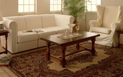 Milwaukee Professional Carpet Cleaning and Rug Cleaning Specialists