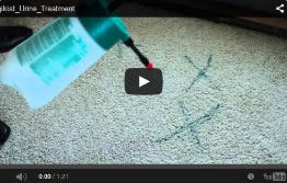 Urine Carpet Treatment Milwaukee